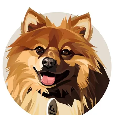 LUKAS ๐ profile