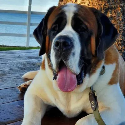 OurTallulah profile