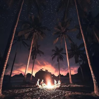 Outdoor Camping Lovers profile