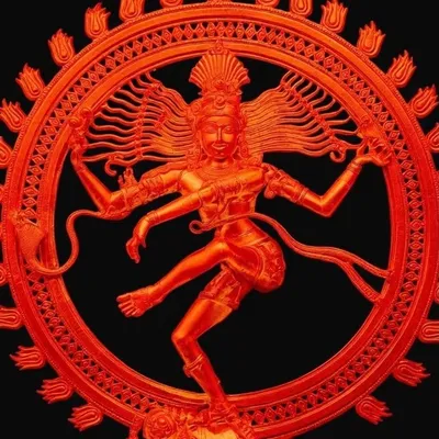 hriday profile