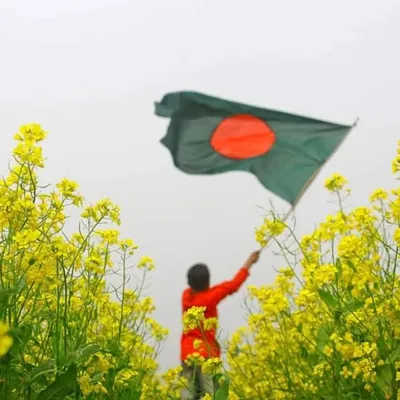 অভিমানী মন profile