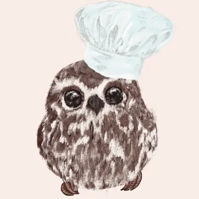 Owl Kitchen Diaries profile