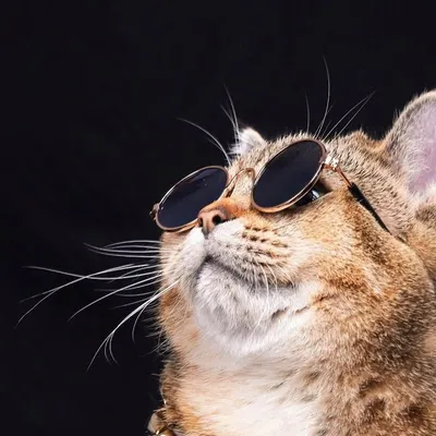 Oxcatlove profile