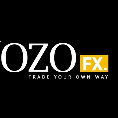 OZOFX LIMITED profile