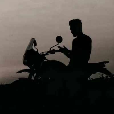 Ozwin profile