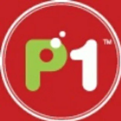 Packet One Networks (P1) profile