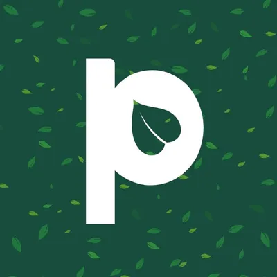 Paankhuri profile