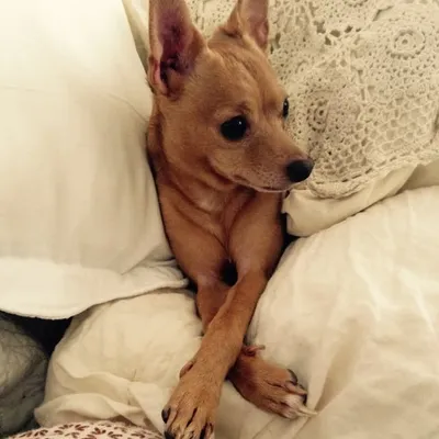 Pablo's Jewels profile
