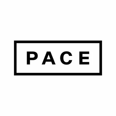 Pace Gallery profile