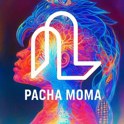 PACHA MOMA profile
