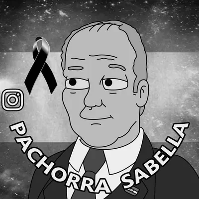 Pachorra Sabella profile