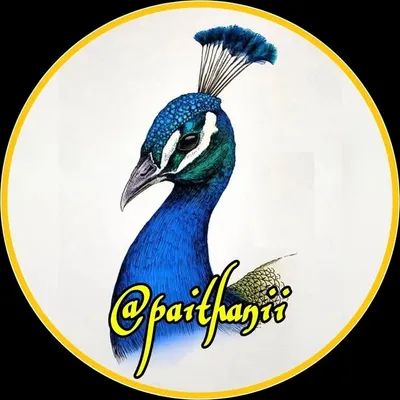 पैठणी profile
