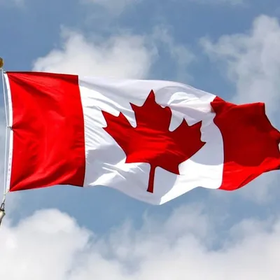 Pakke Canadawale ๐จ๐ฆ profile