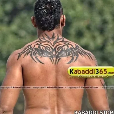 pale jalalpur de fann profile