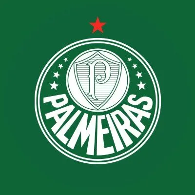 SE Palmeiras profile