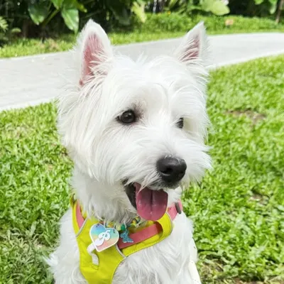 Palmi 🌴 profile