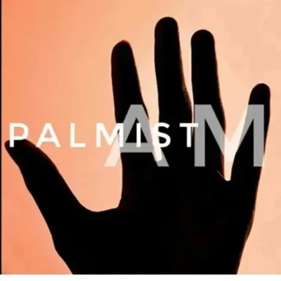 palmist AM profile