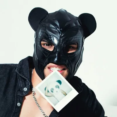 PANDA ๐ผ profile