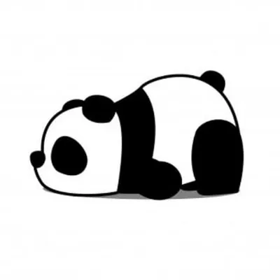 Panda mit Humor 🥳 profile