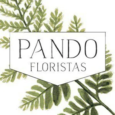 Pando Floristas profile