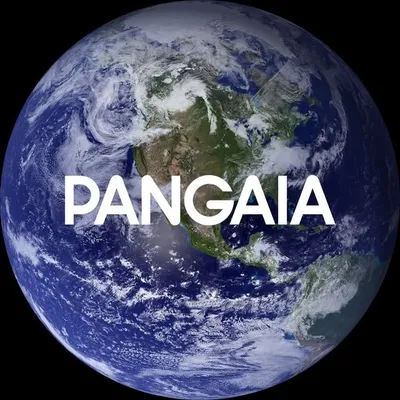 PANGAIA profile