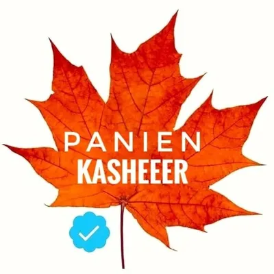 panienkasheeer™ 🔵 profile
