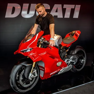 Jarein Trasviña | PANIGALERS profile