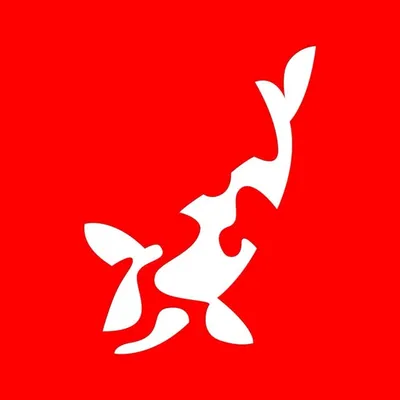 koi.com profile