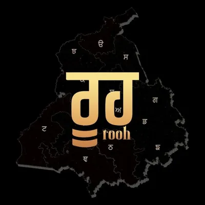 Panjabiyat Rooh✍ profile