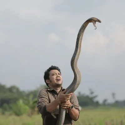 PANJI PETUALANG profile