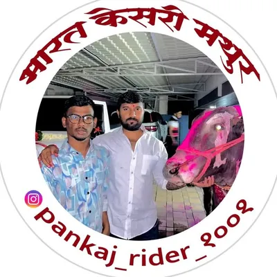 🔥pankaj_sapat_1001🚨 profile