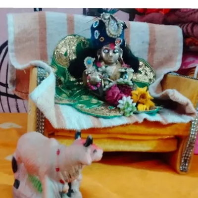 pankhudi Yadav profile