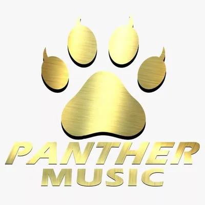 panther music profile