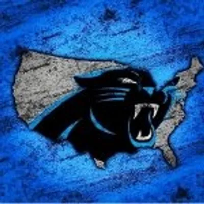 Carolina Panthers profile