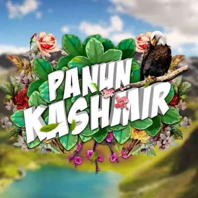 Panun Kashmir profile