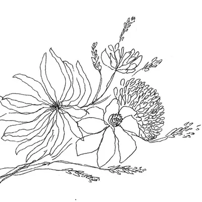 Papillonnage profile
