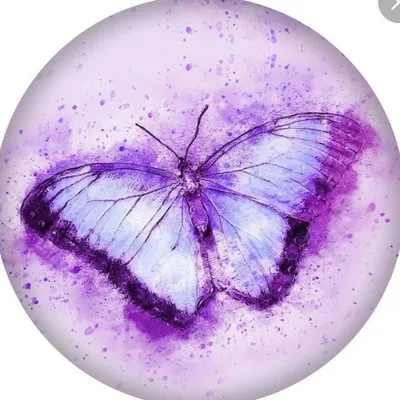 Papillon Swim 🦋 profile