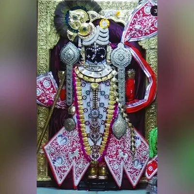 Ganodiya Paras profile