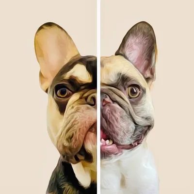 Charlie & Oliver profile