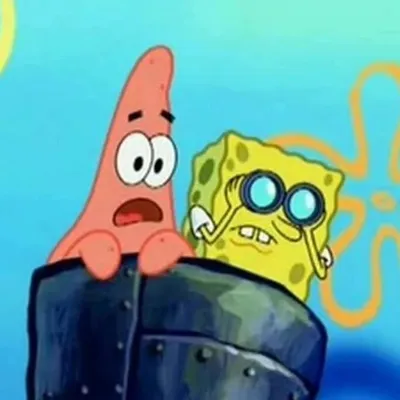 profile