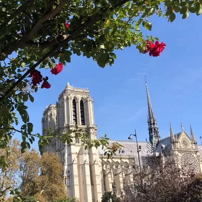 Parisculturel profile