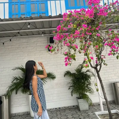๐ฃ๐ฎ๐ฟ๐ถ profile