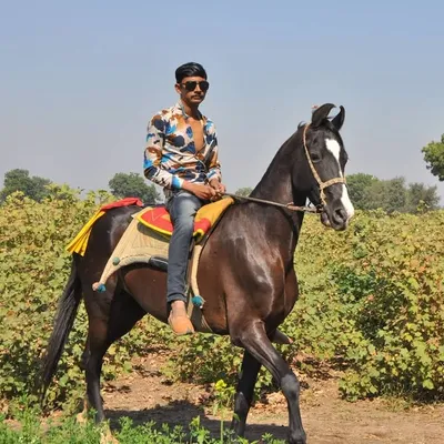 Parkas Bhai Dabasara profile