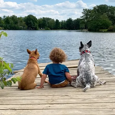 Parker & the Pups ๐พ profile