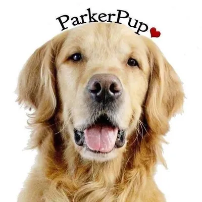ParkerPup profile