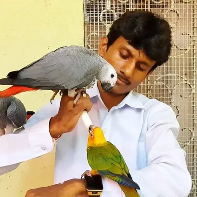 Dipankar Dinda profile