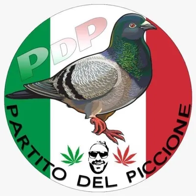 Il Partito del Piccione TV ๐๏ธ profile