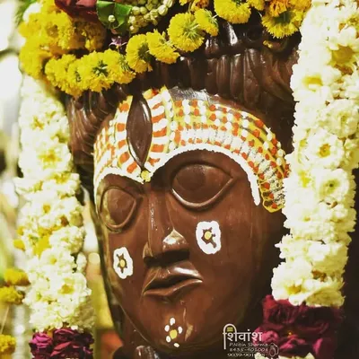 pashupatinath aartidarshan mds profile