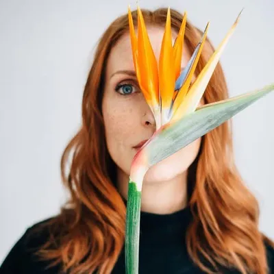 SUE MCLEARY | FLORAL DESIGN EDUCATION profile