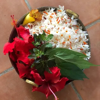 Deepa profile